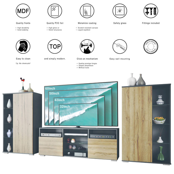 Modern Wall Unit "Davos" in Black Matt + Various Color Fronts